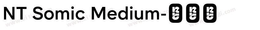 NT Somic Medium字体转换